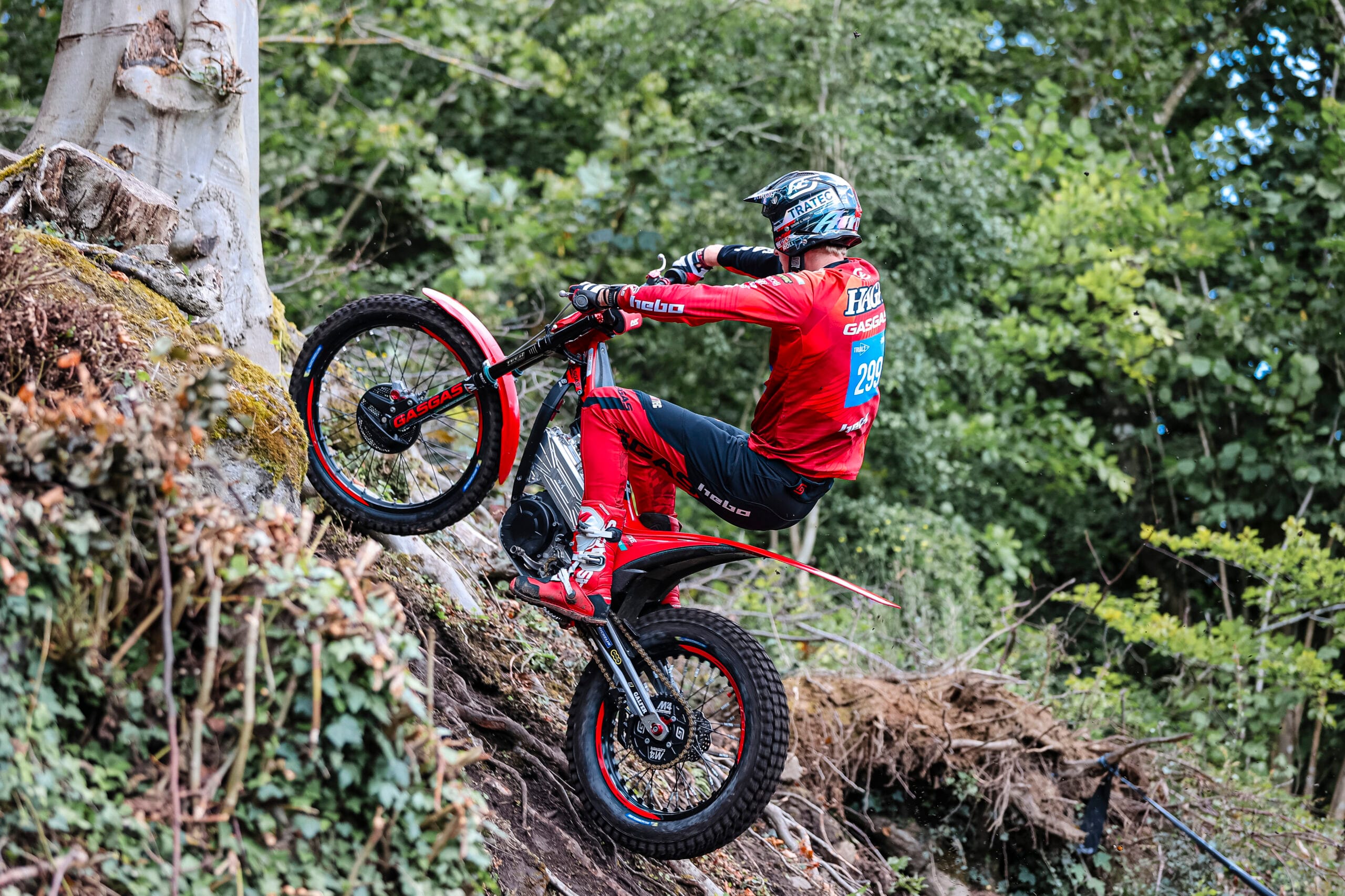 Read more about the article Gekko på 7. plass i Belgia