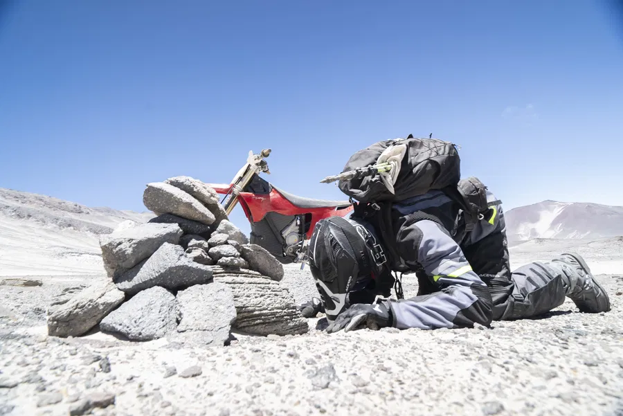 Read more about the article Stark Varg setter ny høyderekord