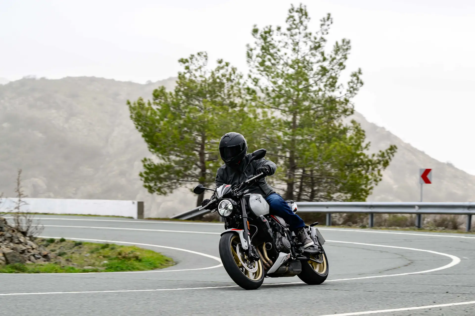 Triumph Trident-Nå med ny 800 motor